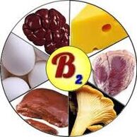 B2 b2 vitaminlari miya uchun